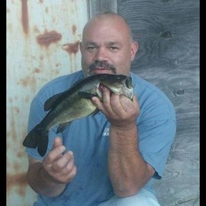 Meet your Posher, Paul